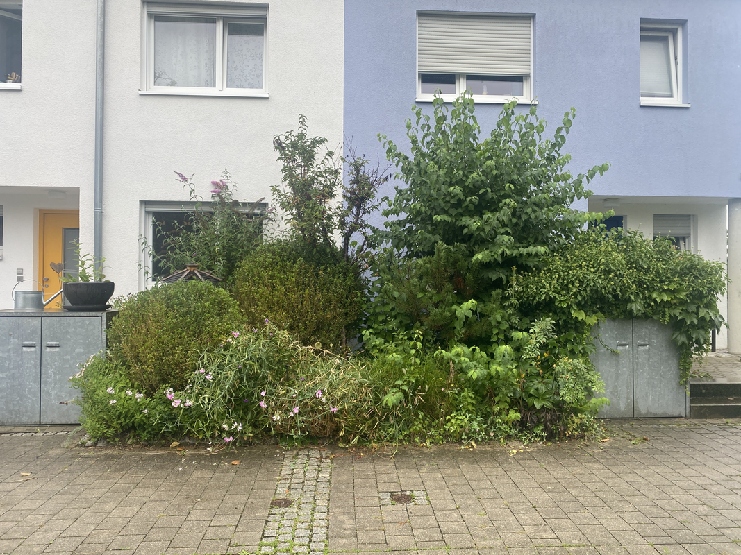Neuanlage eines Sandbeetes 11